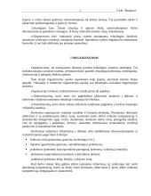 Verslo planas: reklamos gamyba UAB "Budsava" 16 puslapis