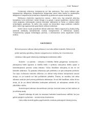 Verslo planas: reklamos gamyba UAB "Budsava" 17 puslapis