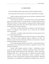 Verslo planas: reklamos gamyba UAB "Budsava" 19 puslapis