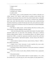 Verslo planas: reklamos gamyba UAB "Budsava" 3 puslapis