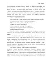 Verslo planas: reklamos gamyba UAB "Budsava" 5 puslapis