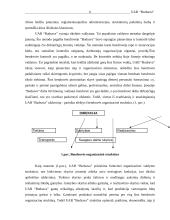 Verslo planas: reklamos gamyba UAB "Budsava" 6 puslapis