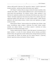 Verslo planas: reklamos gamyba UAB "Budsava" 7 puslapis