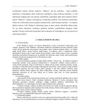 Verslo planas: reklamos gamyba UAB "Budsava" 9 puslapis