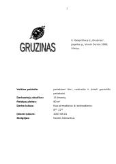 Verslo planas: restoranas-kavinė "Gruzinas" 2 puslapis