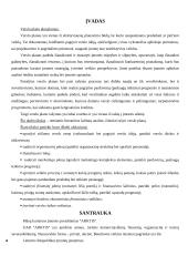 Verslo planas: slidinėjimo paslaugos UAB "Arktis"