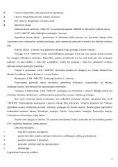 Verslo planas: slidinėjimo paslaugos UAB "Arktis" 2 puslapis