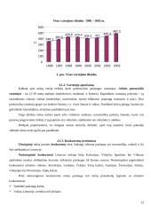 Verslo planas: slidinėjimo paslaugos UAB "Arktis" 12 puslapis