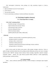 Verslo planas: slidinėjimo paslaugos UAB "Arktis" 13 puslapis