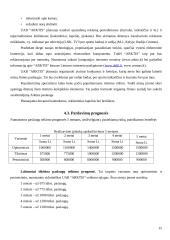 Verslo planas: slidinėjimo paslaugos UAB "Arktis" 15 puslapis
