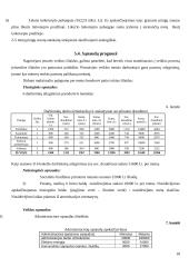 Verslo planas: slidinėjimo paslaugos UAB "Arktis" 18 puslapis