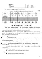 Verslo planas: slidinėjimo paslaugos UAB "Arktis" 19 puslapis