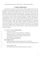 Verslo planas: slidinėjimo paslaugos UAB "Arktis" 3 puslapis