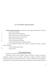 Verslo planas: slidinėjimo paslaugos UAB "Arktis" 5 puslapis