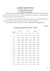 Verslo planas: slidinėjimo paslaugos UAB "Arktis" 10 puslapis