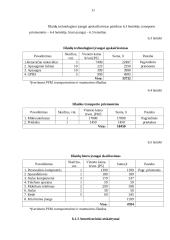 Verslo planas: sportinės, ekstremalios ir pažintinės kelionės UAB "Panemunės trasa" 10 puslapis