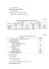 Verslo planas: sportinės, ekstremalios ir pažintinės kelionės UAB "Panemunės trasa" 13 puslapis