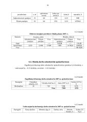 Verslo planas: sportinės, ekstremalios ir pažintinės kelionės UAB "Panemunės trasa" 15 puslapis