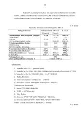 Verslo planas: sportinės, ekstremalios ir pažintinės kelionės UAB "Panemunės trasa" 17 puslapis