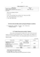 Verslo planas: sportinės, ekstremalios ir pažintinės kelionės UAB "Panemunės trasa" 18 puslapis