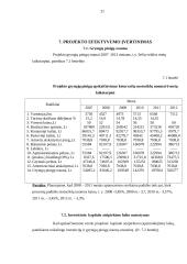 Verslo planas: sportinės, ekstremalios ir pažintinės kelionės UAB "Panemunės trasa" 20 puslapis