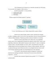 Verslo planas: sportinės, ekstremalios ir pažintinės kelionės UAB "Panemunės trasa" 8 puslapis