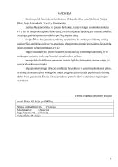 Verslo planas: sportinių marškinėlių, šortų gamyba ir pardavimas UAB "Sportex" 11 puslapis