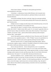 Verslo planas: sportinių marškinėlių, šortų gamyba ir pardavimas UAB "Sportex" 3 puslapis