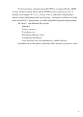 Verslo planas: sportinių marškinėlių, šortų gamyba ir pardavimas UAB "Sportex" 4 puslapis