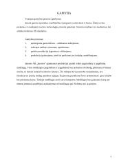 Verslo planas: sportinių marškinėlių, šortų gamyba ir pardavimas UAB "Sportex" 7 puslapis