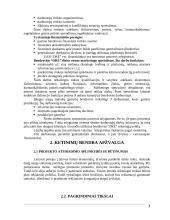 Verslo planas: staliukų gamyba UAB "Ore" 3 puslapis