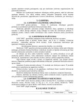 Verslo planas: staliukų gamyba UAB "Ore" 6 puslapis