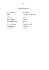 Verslo planas: sulčių gamyba UAB "Vaisius" 4 puslapis