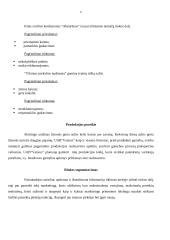 Verslo planas: sulčių gamyba UAB "Vaisius" 6 puslapis