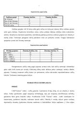 Verslo planas: sulčių gamyba UAB "Vaisius" 7 puslapis