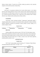 Verslo planas: sulčių gamyba UAB "Vaisius" 8 puslapis