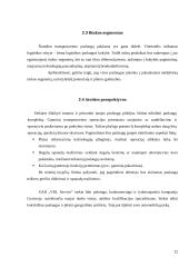 Verslo planas: transportavimo ir sandėliavimo paslaugos "VBL Service" 11 puslapis