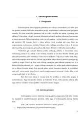 Verslo planas: transportavimo ir sandėliavimo paslaugos "VBL Service" 12 puslapis