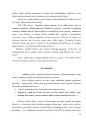 Verslo planas: transportavimo ir sandėliavimo paslaugos "VBL Service" 15 puslapis