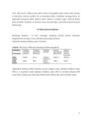 Verslo planas: transportavimo ir sandėliavimo paslaugos "VBL Service" 16 puslapis