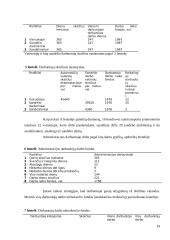 Verslo planas: transportavimo ir sandėliavimo paslaugos "VBL Service" 18 puslapis