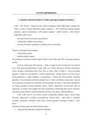 Verslo planas: transportavimo ir sandėliavimo paslaugos "VBL Service" 4 puslapis