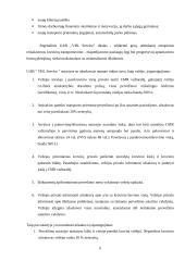 Verslo planas: transportavimo ir sandėliavimo paslaugos "VBL Service" 5 puslapis