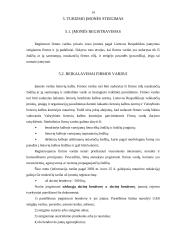 Verslo planas: turizmo įmonė "Transatlantika" 13 puslapis