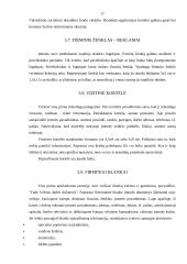 Verslo planas: turizmo įmonė "Transatlantika" 16 puslapis