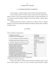 Verslo planas: turizmo įmonė "Transatlantika" 18 puslapis