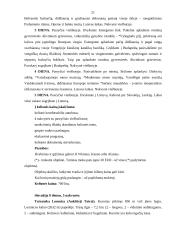 Verslo planas: turizmo įmonė "Transatlantika" 20 puslapis