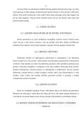 Verslo planas: turizmo įmonė "Transatlantika" 7 puslapis