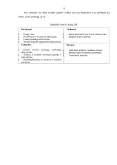 Verslo planas: turizmo įmonė "Transatlantika" 8 puslapis