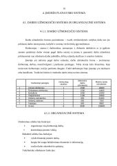 Verslo planas: turizmo įmonė "Transatlantika" 9 puslapis